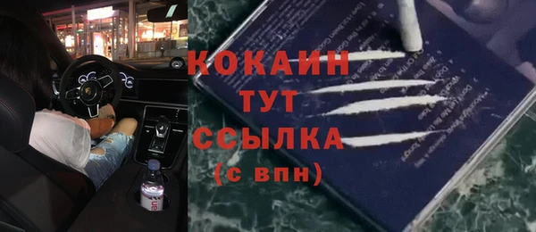 твердый Аркадак