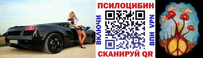 Псилоцибиновые грибы MAGIC MUSHROOMS  Купить закладки  Гремячинск 